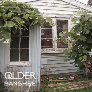 Banshee by OLDER