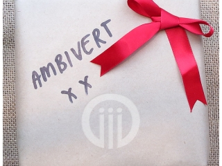 Ambivert by OLDER
